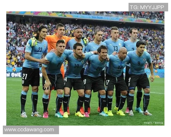 狮王绿茵逐梦时刻全纪录震撼图集展现足球巨星风采