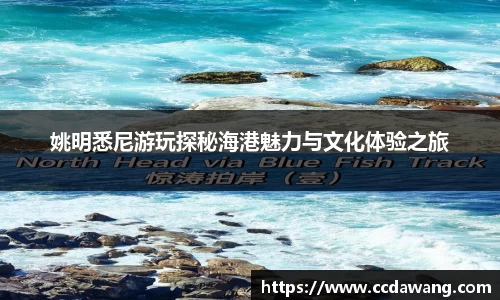 姚明悉尼游玩探秘海港魅力与文化体验之旅