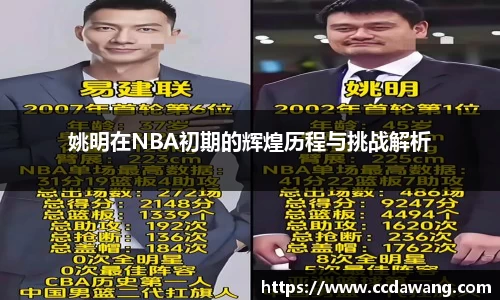 姚明在NBA初期的辉煌历程与挑战解析